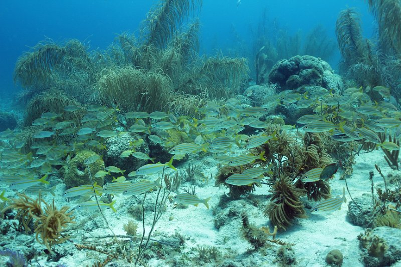 Curacao 04-12 583.JPG